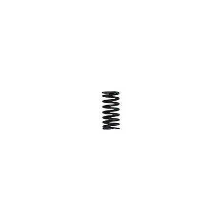 Valve Spring (internal) double sping valves h.33,8mm - d.16,1mm Pit Bike YX
