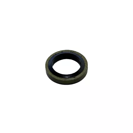 Washer banjo screw d.10mm
