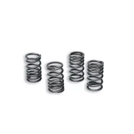 Clutch Springs Malossi Racing AM6