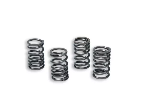 Clutch Springs Malossi Racing AM6