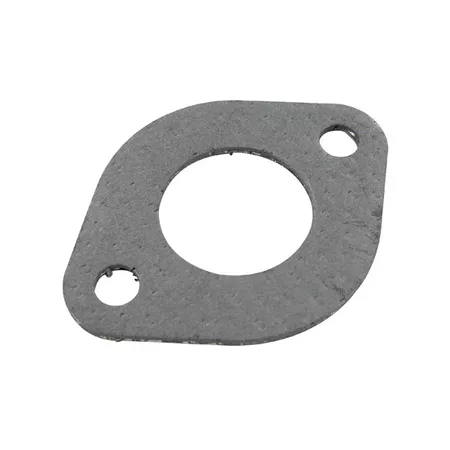 Silencer Gasket Yasuni 2 holes