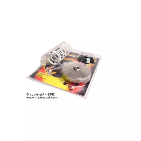 Variator CVT Malossi Multivar 2000 Honda Forza X 250cc