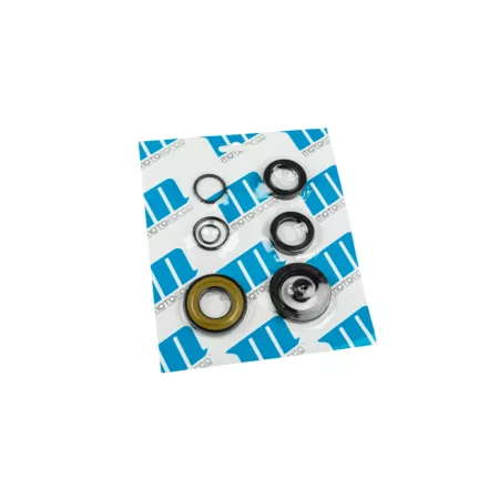 Oil Seal Set Piaggio