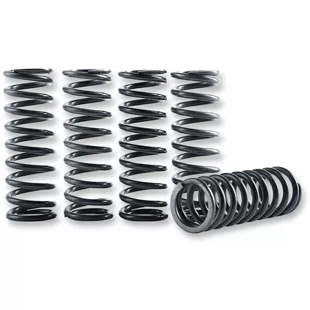 Clutch Spring Kit Hinson KXF 450