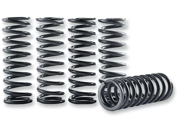 Clutch Spring Kit Hinson KXF 450