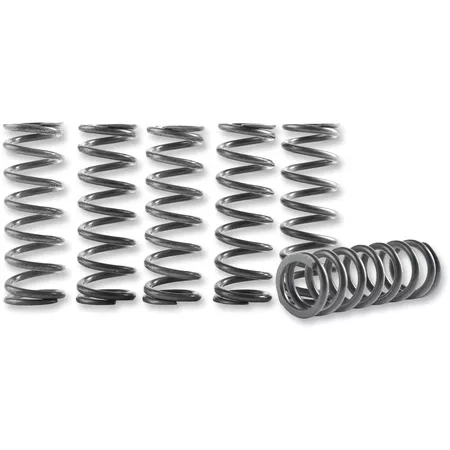 Clutch Spring 6-pack for Hinson clutch basket CRF 450 2009-2012