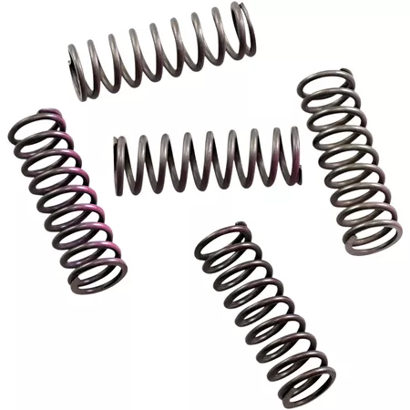 Clutch Spring Kit Hinson CRF 250 10-17