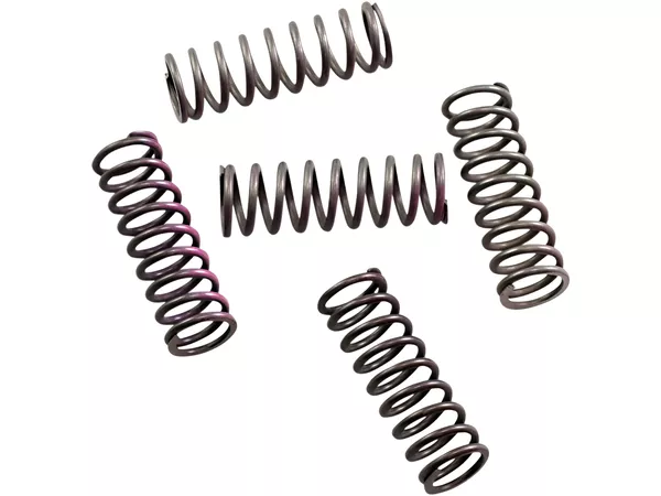 Clutch Spring Kit Hinson CRF 250 10-17
