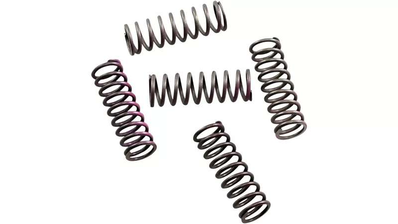 33141-clutch-spring-kit-hinson-crf-250-10-17-1.webp