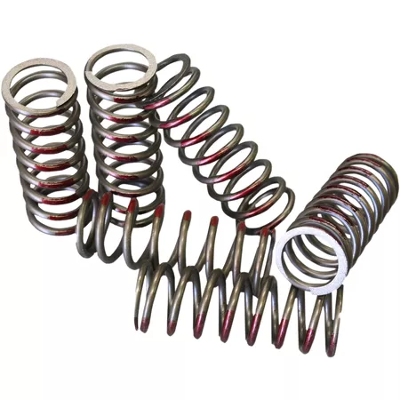 Clutch Springs (6 pack) Hinson RMZ 450