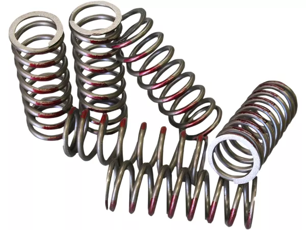 Clutch Springs (6 pack) Hinson RMZ 450