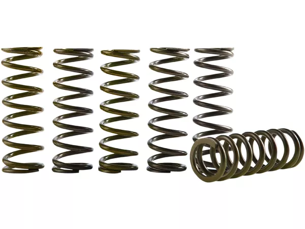 Clutch Spring Kit Hinson SX-F \/ FC 250 - 350