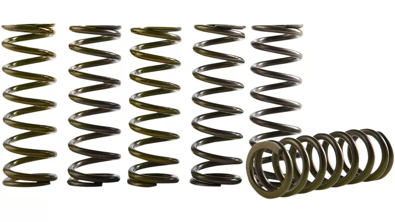 33183-clutch-spring-kit-hinson-sx-f-fc-250-350-1.webp