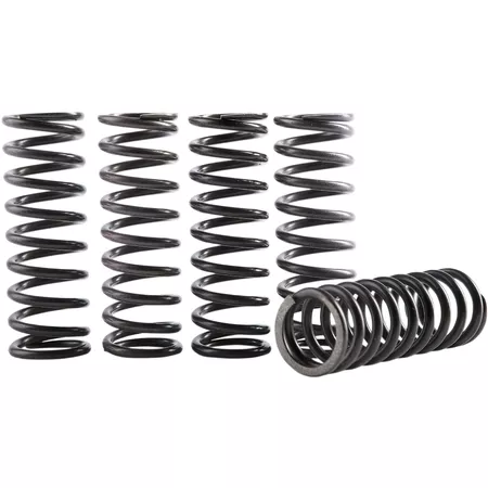 Clutch Spring Kit Hinson CRF 250