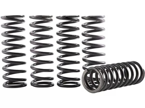 Clutch Spring Kit Hinson CRF 250