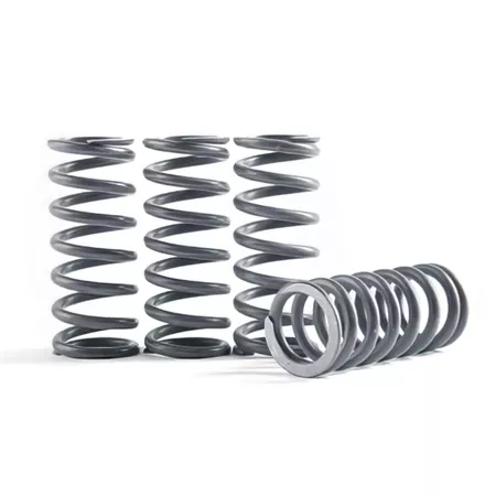 Clutch Springs Hinson CRF 450