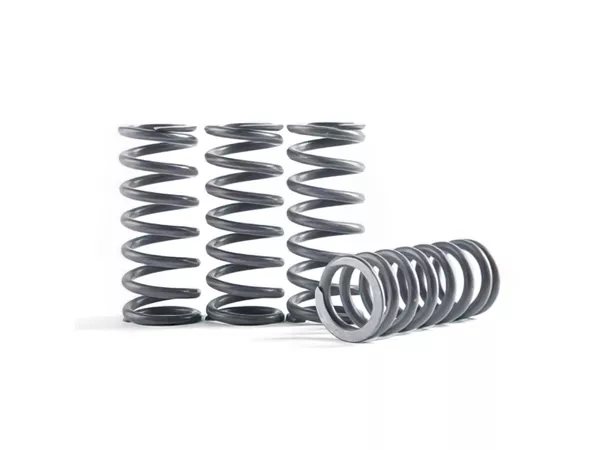 Clutch Springs Hinson CRF 450