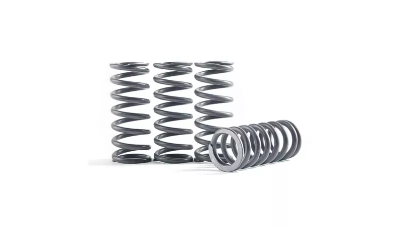 33300-clutch-springs-hinson-crf-450-1.webp