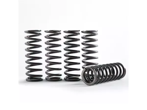 Clutch Springs Hinson YZ 85
