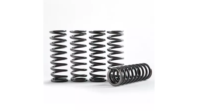33301-clutch-springs-hinson-yz-85-1.webp