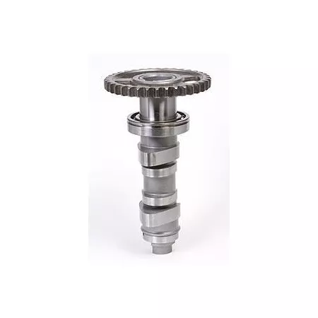 Camshaft Stage 2 Hot CamsHonda CRF 450 2009