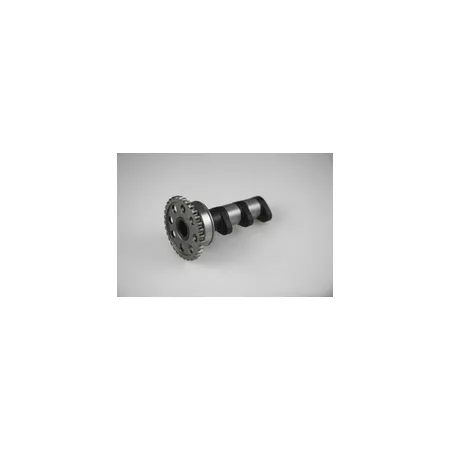 Camshaft intake Hot Cams Stage 1 KTM