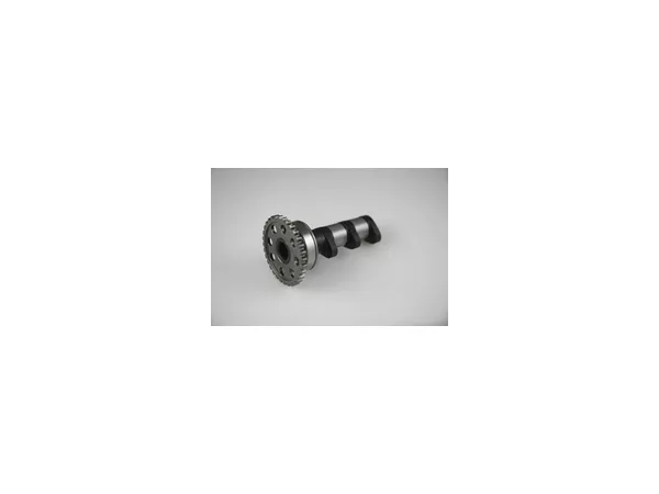 Camshaft exhaust Hot Cams Stage 1 KTM