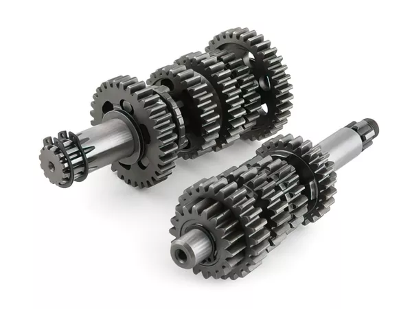Gearbox Bidalot Racing Factory Minarelli AM6