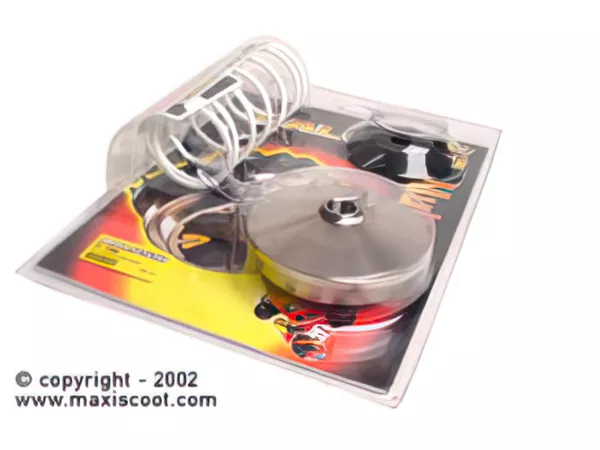 4117-variator-cvt-malossi-multivar-2000-honda-silver-wing-400cc-1.webp