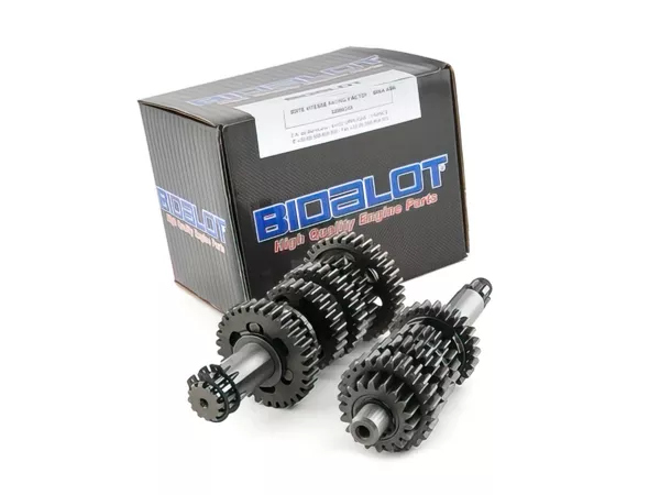 Bidalot Transmission RF-WR Racing Factory Minarelli AM6