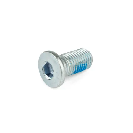 Brake Disc Screw M10x1.25x15mm