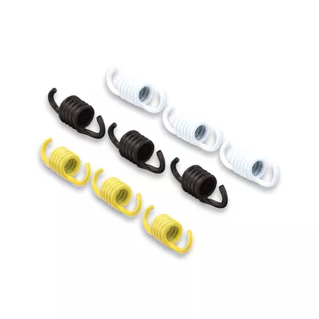Clutch Spring Set Malossi (engines with variator)