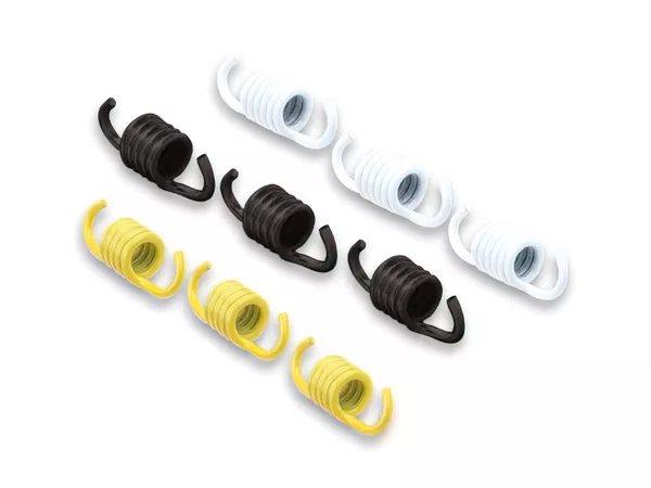 Clutch Spring Set Malossi (engines with variator)