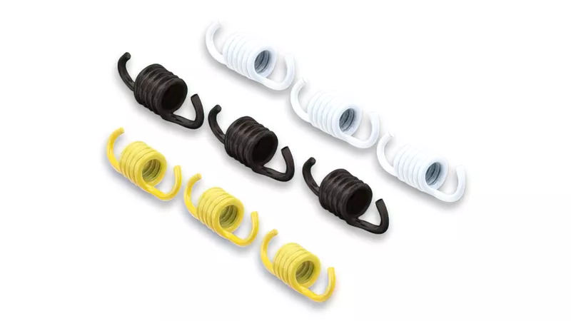 5477-clutch-spring-set-malossi-engines-without-variator–1.webp