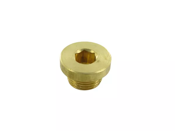 5549-stage6-r-t-plug-screw-for-temperature-sensor–1.webp