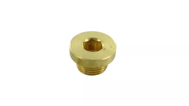 5549-stage6-r-t-plug-screw-for-temperature-sensor–1.webp
