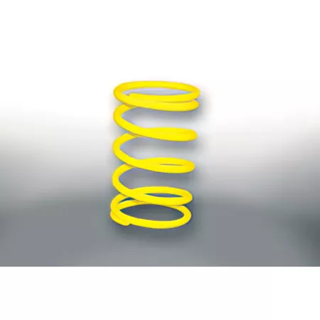 Clutch Springs Malossi Sport hard maxiscooters