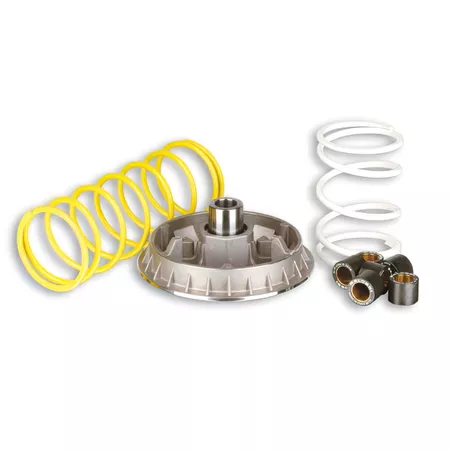 CVT Variator Malossi Multivar 2000 Honda Foresight \/ Piaggio X9 250cc