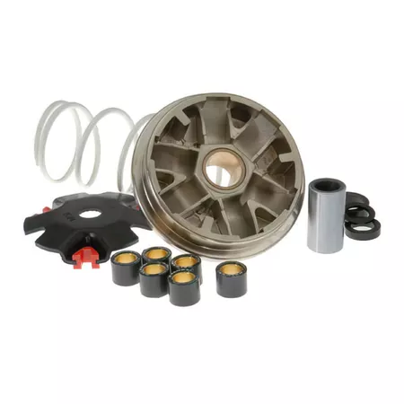 Malossi Variator \