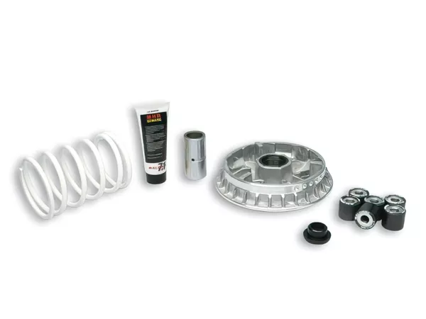6783-variator-cvt-malossi-multivar-2000-kymco-xciting-500cc-1.webp