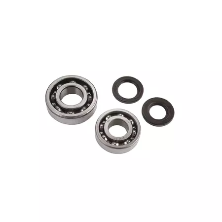 Bearings + Oil Seals Peugeot 103 (6203 & 6204)