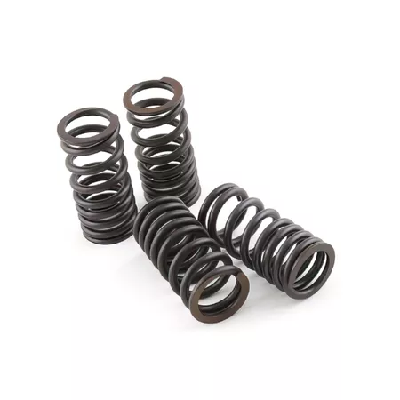 Valve Spring Set (4) Malossi Piaggio VX-R 200