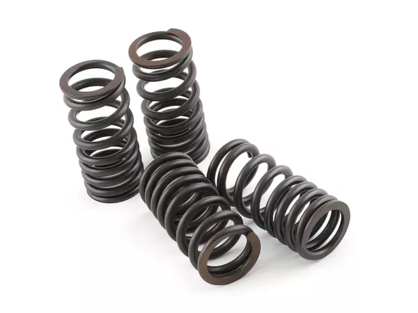 Valve Spring Set (4) Malossi Piaggio VX-R 200