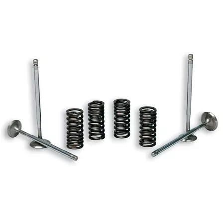 Valve Kit Malossi springs + valves (x4) Vespa GT \/ GTS 125 - 200cc