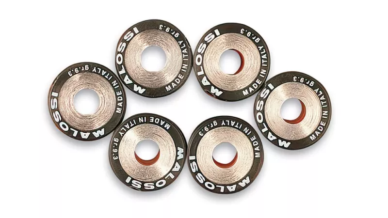 9288-variator-weights-malossi-19×15-5mm-11-0g-1.webp